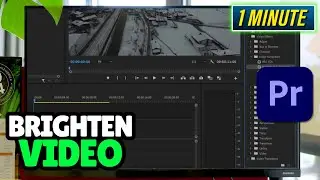 How to Brighten Video in Premiere Pro | Lighten Video