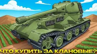 ЧТО КУПИТЬ ЗА КЛАНОВЫЙ МАГАЗИН? / Мир Танков