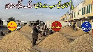 Pakistan Biggest Mongphali (Peanut)🥜 Mandi|Full tour prices, Grade & Quality 