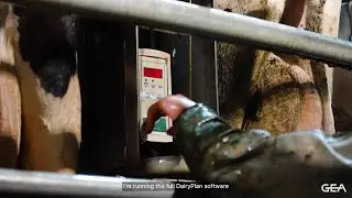 CowScout Health Monitoring - Andrew Fullerton, New Zealand