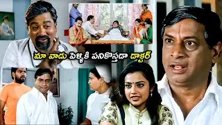 మా వాడు పెళ్ళికి పనికొస్తడా డాక్టర్..| MS Narayana And Ali , Ravi Teja Back To Back Comedy Scenes