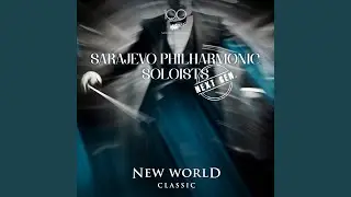 Trumpet Concerto in E-Flat Major: II. Largo