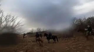 A Scouts View, Horseback Field Trial