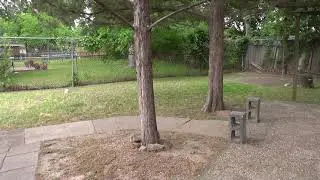 Panasonic Camcorder Test V201 and V520