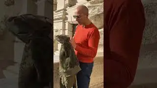 L'monte Men Cotton Cargo Jacket Unboxing #lmonte #review #cargo #jacket #unboxing #italy#amazon