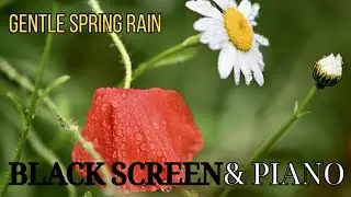 Gentle Spring Rain CALMS Your Mind