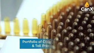 CanX CBD for Prohibition Partners LIVE Event