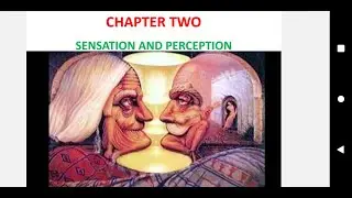 General Psychology freshman course unit 2 part 1 Sensation and Perception (Afaan Oromoo)