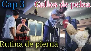 Cap 3. Los gallos de pelea 🐓 (rutina de pierna-femoral) Parte 1