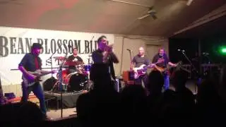 Jason Ricci - Shake Your Hips at the 2015 Bean Blossom Blues Festival