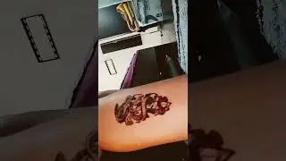 #ceanux