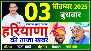 3 September 2025 Haryana News || हरियाणा की ताजा खबरें || Haryana Live News || CWB Hindi News