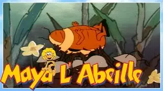 Maya l'abeille - épisode 14 - Flip champion de la forêt