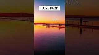 Psychology facts about love || Amazing facts|| Love Facts|| #love #short #shorts 11