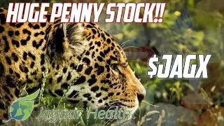 CAN THIS PENNY STOCK KEEP MAKING HUGE MONEY? $JAGX PENNY STOCK ANALYSIS.