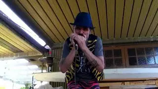 Latino style wah pedal harmonica: Lord Stompy
