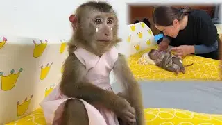 monkey Tina was emotional as she remembered her mother and the gift her mother gave her.