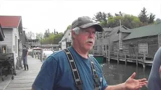 Invasive Goby