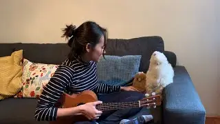 Daniel, me estás matando - ¿Qué se siente que me gustes tanto? (TUTORIAL UKULELE)