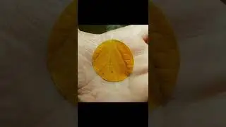 ✨ Perfect Things That Are So Satisfying 😍 | Shorts Part-126