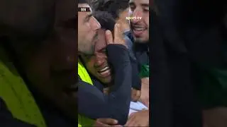 Quantas vezes j&aacute; reviste o gola&ccedil;o do nosso Geny? 🥹💚 #SCPSLB #GenyCatamo #SportingCP