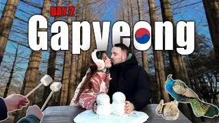 Babe, who is Nami? 🤨 | Nami Island, Gapyeong, South Korea | DAY 2