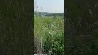 PN FARMS ISLAMABAD ⚓️