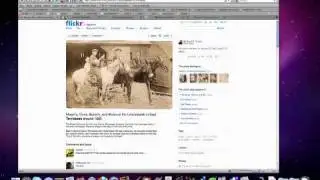 Creative Common and Public Domain Image Search