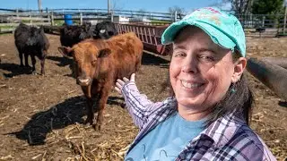 Maryland's Best - Savage Acre Farms