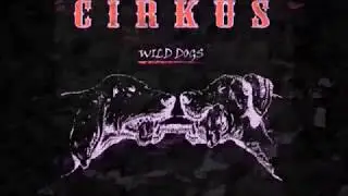 CIRKUS - WILD DOGS - DEBUT ALBUM RELEASE