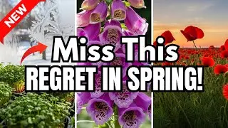 Most Gardeners Miss These 10 November Perennials&mdash;Plant Them Now for Gorgeous Blooms Next Year!