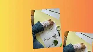 Discover nature with our magnifying glasses