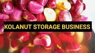 HOW TO START KOLA NUT STORAGE BUSINESS. #kolanut #selfstorage #cola
