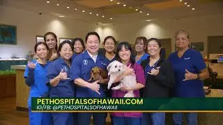 Best of Hawaiʻi: Waipahu Waikele Pet Hospital excels in care for pets & their humans