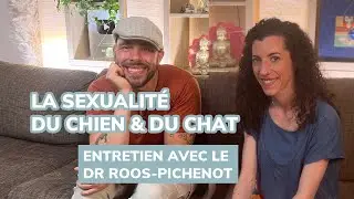 La reproduction canine et féline