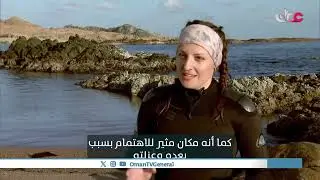 #سحر_الأعماق | الجمعة 23 يناير 2026م