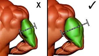 Wider Bigger Triceps Exercises Gym for Size and Mass