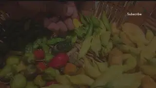 Storing away fresh food and tasting peppers!