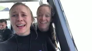 Alyssa, Erin, Katherine, Lane and Lauren do New Zealand (music video)