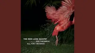 Oh, Gravity