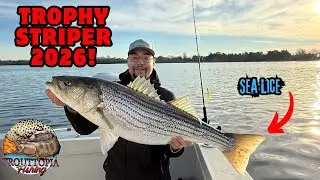 Jiggin Trophy Striper In Shallow Water?! (Solomons Island MD 2026)