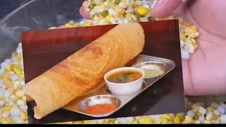 Multigrain Dosa \\Healthy Breakfast Recipe \\High Protein Dosa Recipe \\Dosa Batter \\പ്രോട്ടീൻ ദോശ 