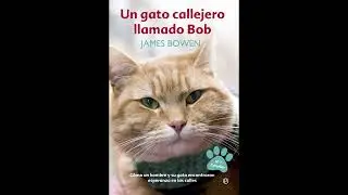 UN GATO CALLEJERO LLAMADO BOB - James Bowen | AUDIOLIBRO - Cap. 2