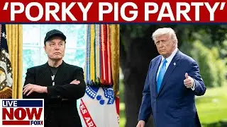 'Porky Pig Party': Elon Musk slams President Trump's mega tax bill, calls for a new party