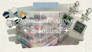 Organizando insumos de bisuter&iacute;a&nbsp;| Perla Jewelry