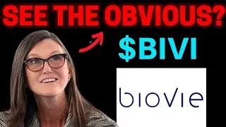 BIVI Stock ALERT TUESDAY! (major news) BIVI stock brokers review