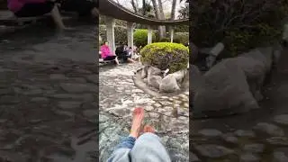 Must do на эту жизнь - попарить ножки в уличном, природном, горячем источнике