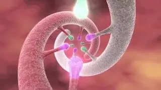 Want To Help Cure and Prevent Cancer? Consider Medical Research