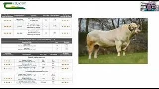 Beef Bull Selection & Heat Detection Technology - Teagasc SLD Webinar Series Spring 2022