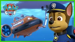Rubble & the Pups Rescue a Runaway Hamster 🐹 - PAW Patrol Rescue Episode - Cartoons for Kids!